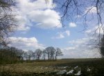 IMG_20150404_161137.jpg