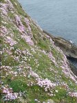 20150609_122148.jpg