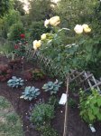 beetrechtshinten.jpg