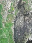 20150612_132636.jpg
