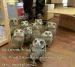 Uhu.jpg