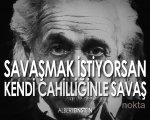 einstein_n.jpg