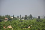 DSC_0088.jpg