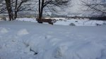 20160303_165250.jpg